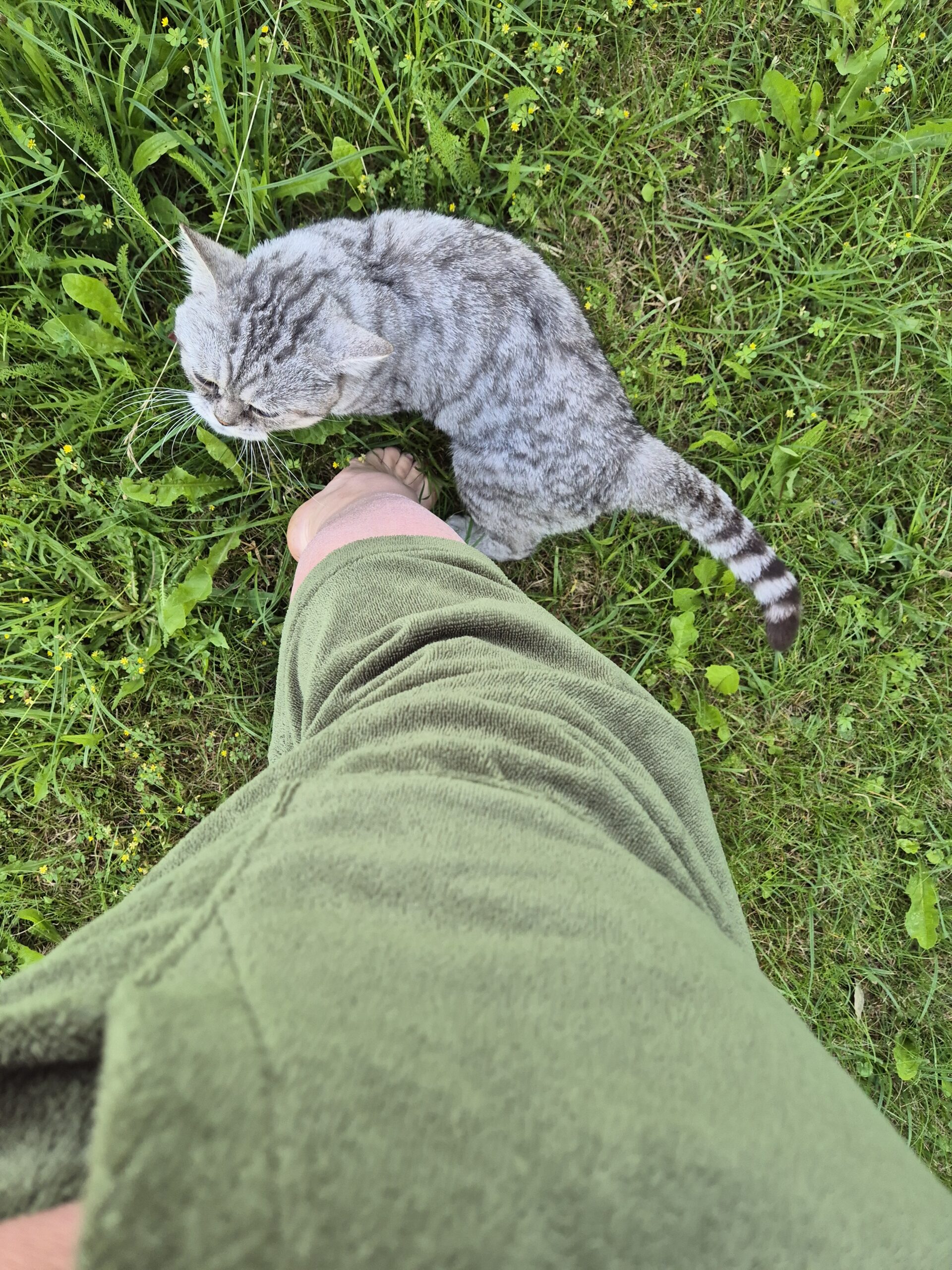 Bambukinis pirties/paplūdimio pončas samaninis žalias - Image 3