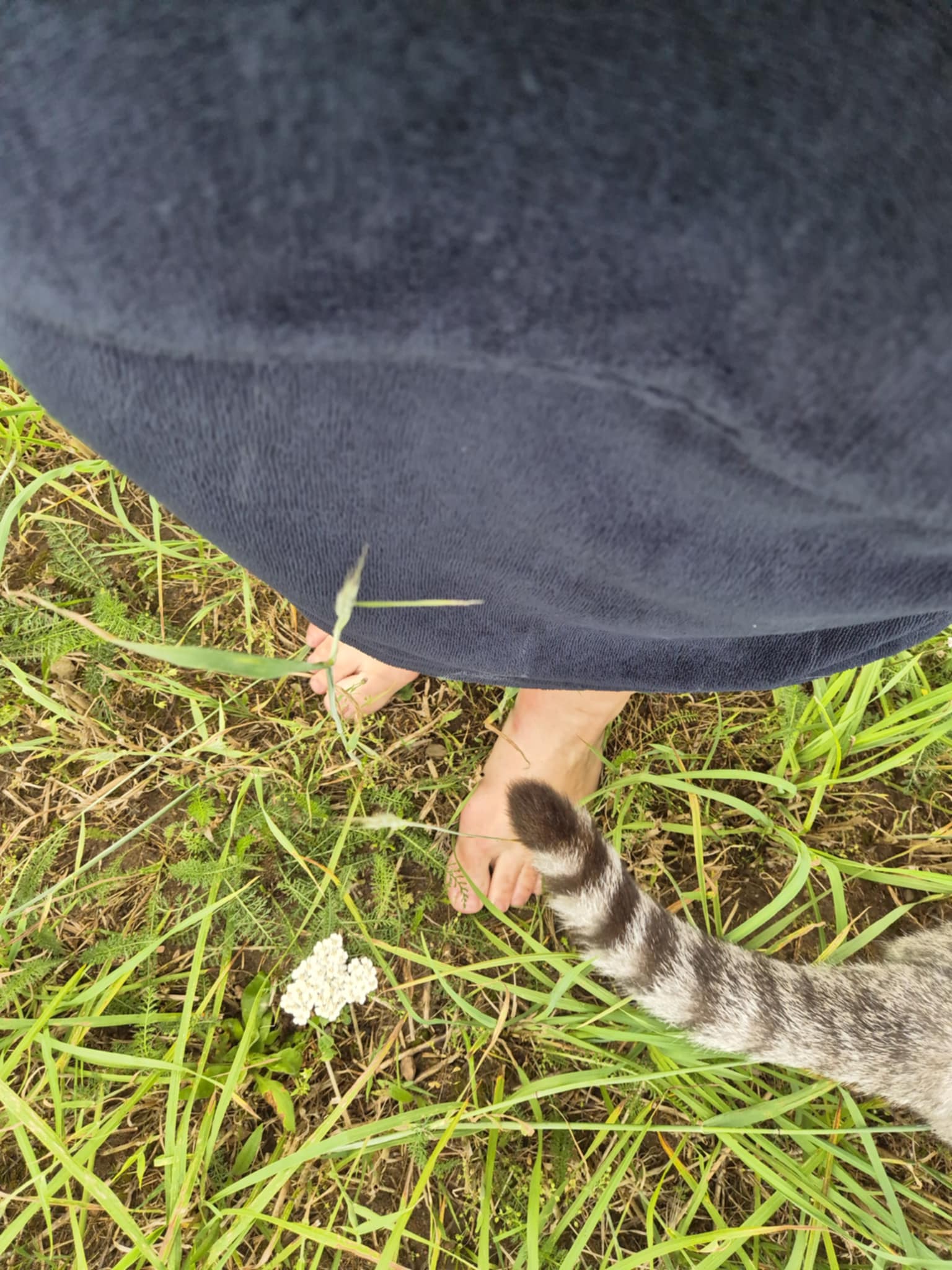 Bambukinis pirties/paplūdimio pončas nakties mėlyna - Image 6